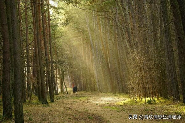 从德西效应了解，如何让挽回对象变得主动